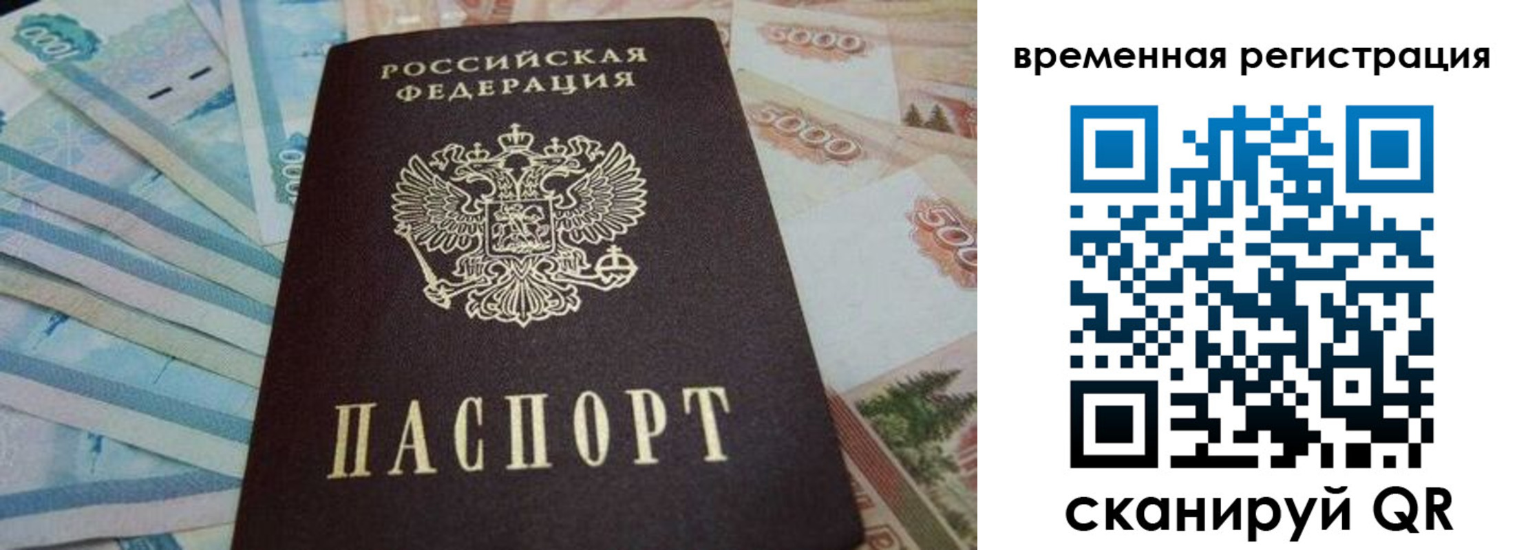 временная регистрация гарантия в Новозыбкове