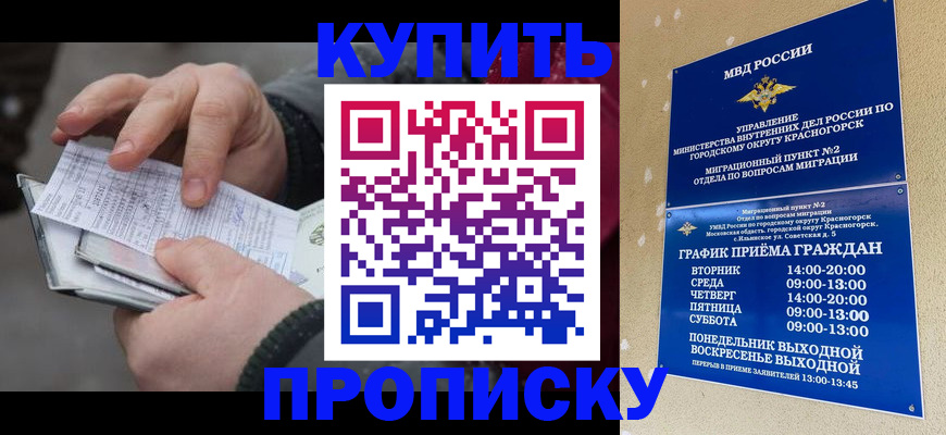 временная регистрация недорого в Новозыбкове